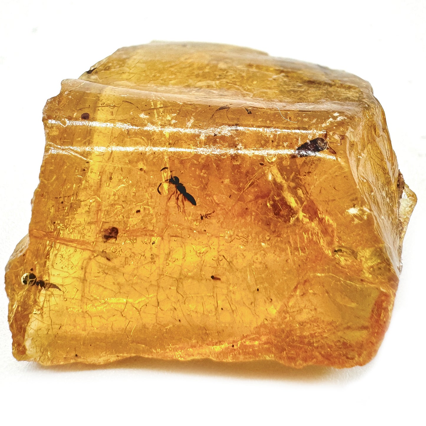 Crystal Collector: AMBER & BISMUTH (Set of 3)